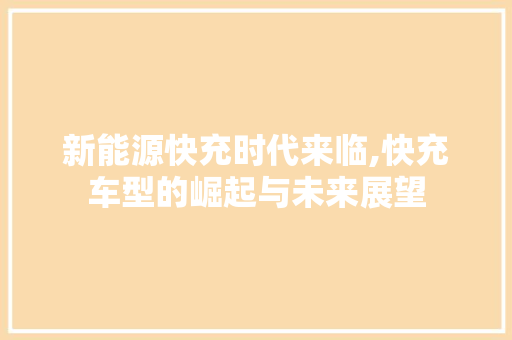 新能源快充时代来临,快充车型的崛起与未来展望  第1张