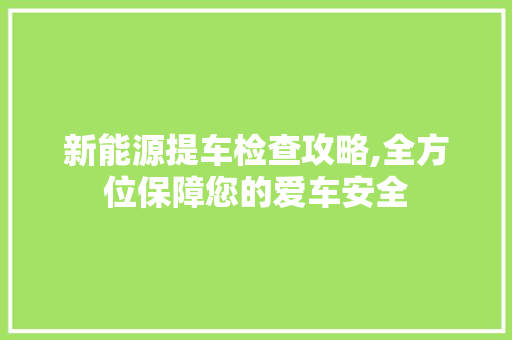 新能源提车检查攻略,全方位保障您的爱车安全