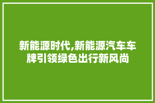 新能源时代,新能源汽车车牌引领绿色出行新风尚  第1张