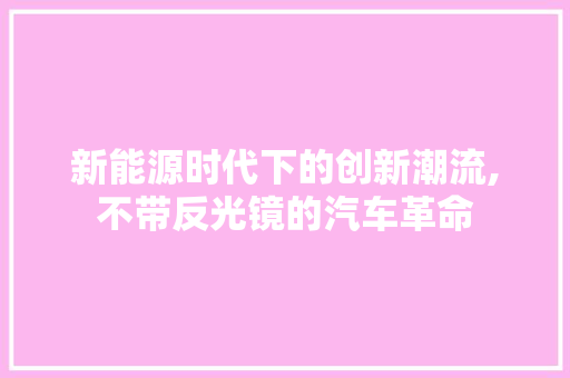 新能源时代下的创新潮流,不带反光镜的汽车革命  第1张