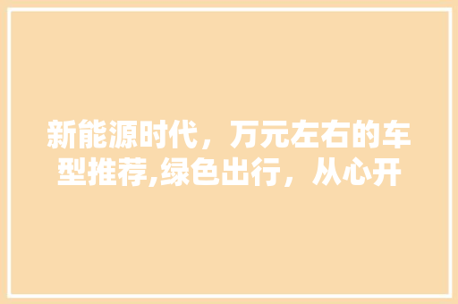 新能源时代，万元左右的车型推荐,绿色出行，从心开始  第1张