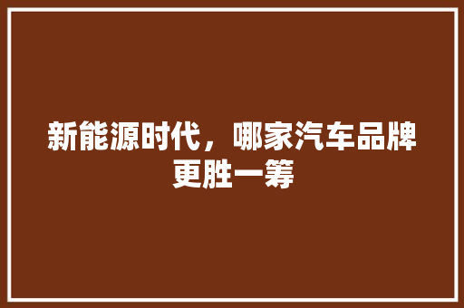 新能源时代，哪家汽车品牌更胜一筹  第1张