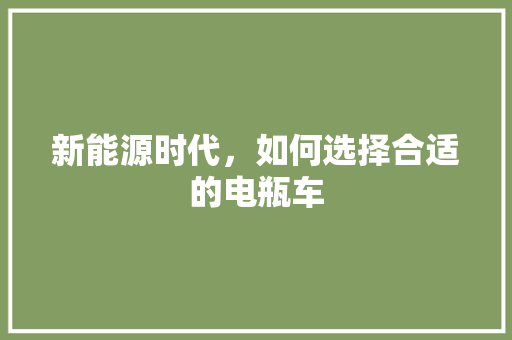 新能源时代，如何选择合适的电瓶车