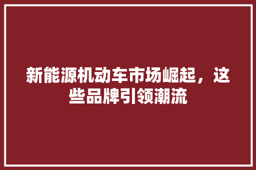 新能源机动车市场崛起，这些品牌引领潮流  第1张