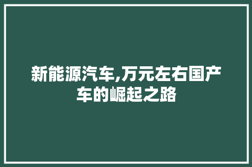 新能源汽车,万元左右国产车的崛起之路