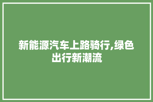 新能源汽车上路骑行,绿色出行新潮流  第1张