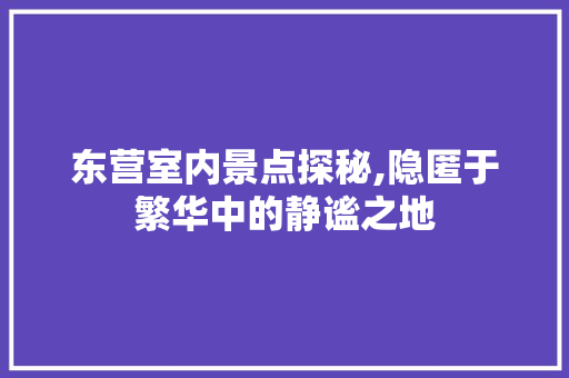 东营室内景点探秘,隐匿于繁华中的静谧之地