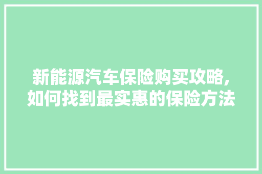 新能源汽车保险购买攻略,如何找到最实惠的保险方法  第1张