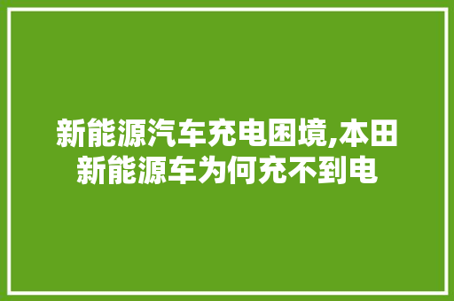 新能源汽车充电困境,本田新能源车为何充不到电  第1张