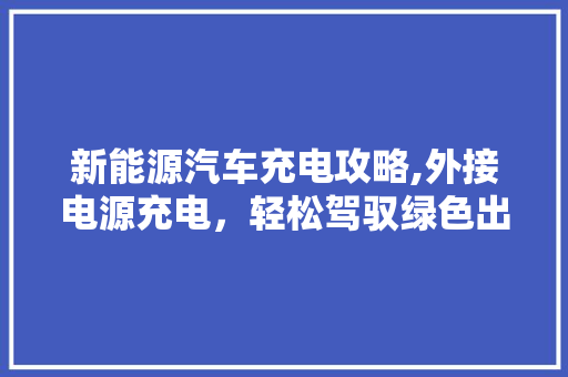 新能源汽车充电攻略,外接电源充电，轻松驾驭绿色出行