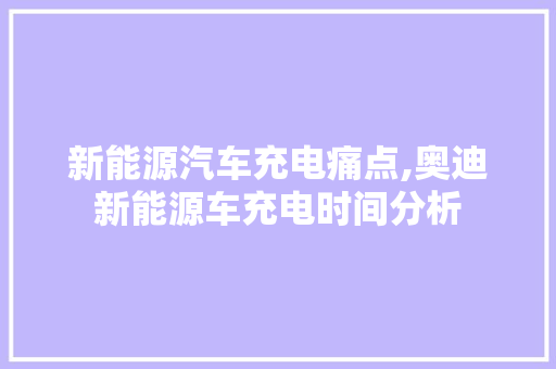 新能源汽车充电痛点,奥迪新能源车充电时间分析  第1张