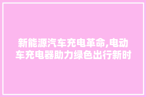 新能源汽车充电革命,电动车充电器助力绿色出行新时代  第1张