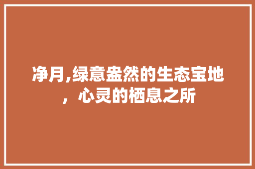 净月,绿意盎然的生态宝地，心灵的栖息之所