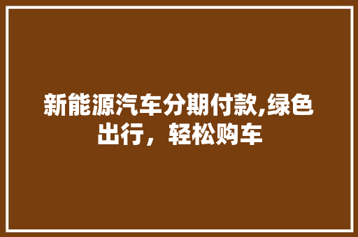 新能源汽车分期付款,绿色出行，轻松购车  第1张