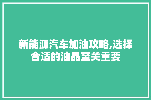 新能源汽车加油攻略,选择合适的油品至关重要