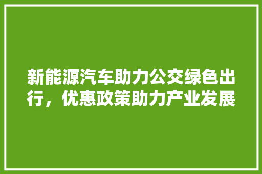 新能源汽车助力公交绿色出行，优惠政策助力产业发展  第1张