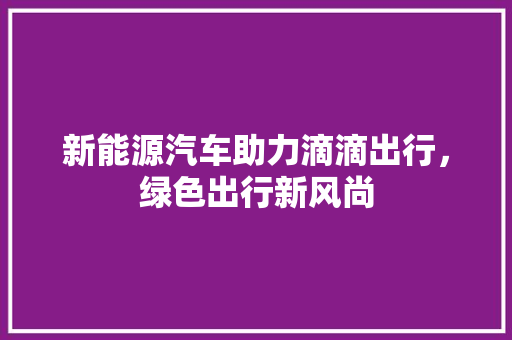 新能源汽车助力滴滴出行，绿色出行新风尚  第1张