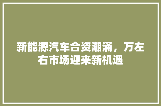 新能源汽车合资潮涌，万左右市场迎来新机遇  第1张