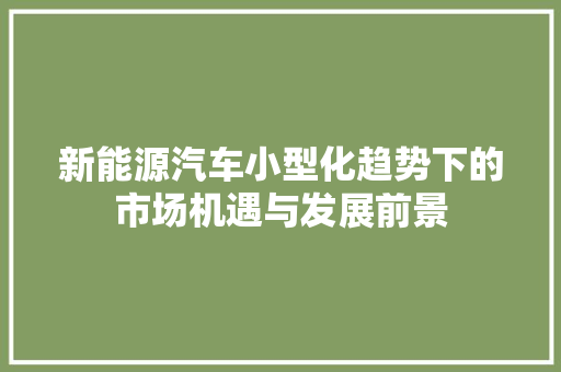 新能源汽车小型化趋势下的市场机遇与发展前景  第1张