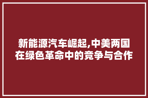 新能源汽车崛起,中美两国在绿色革命中的竞争与合作  第1张