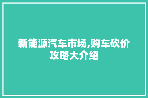 新能源汽车市场,购车砍价攻略大介绍