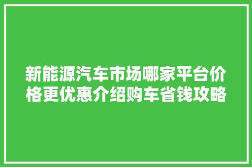 新能源汽车市场哪家平台价格更优惠介绍购车省钱攻略  第1张