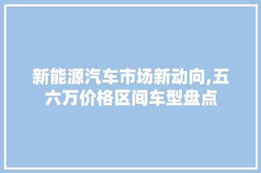 新能源汽车市场新动向,五六万价格区间车型盘点  第1张