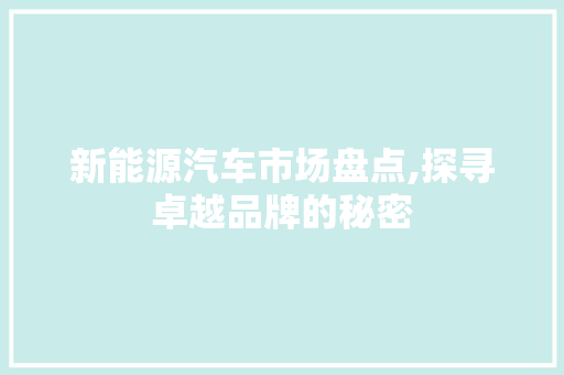 新能源汽车市场盘点,探寻卓越品牌的秘密  第1张