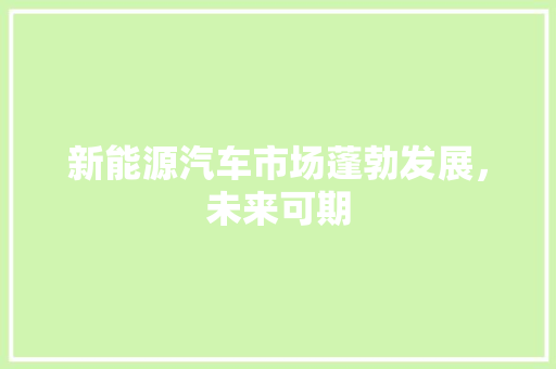 新能源汽车市场蓬勃发展，未来可期  第1张