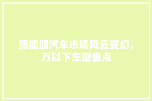 新能源汽车市场风云变幻，万以下车型盘点  第1张