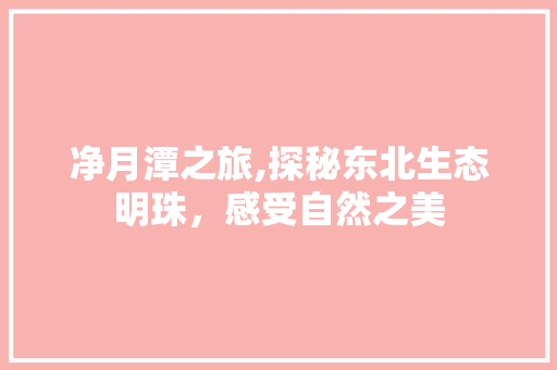 净月潭之旅,探秘东北生态明珠，感受自然之美