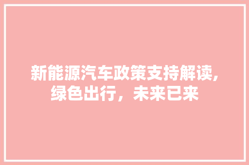 新能源汽车政策支持解读,绿色出行，未来已来  第1张