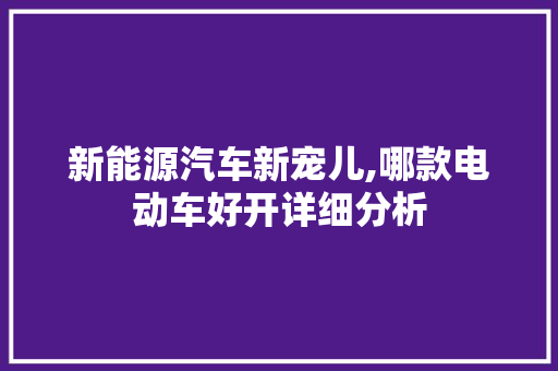 新能源汽车新宠儿,哪款电动车好开详细分析  第1张