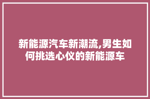 新能源汽车新潮流,男生如何挑选心仪的新能源车  第1张