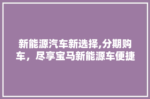 新能源汽车新选择,分期购车，尽享宝马新能源车便捷生活  第1张