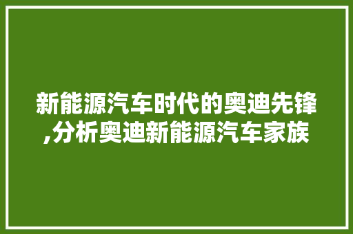 新能源汽车时代的奥迪先锋,分析奥迪新能源汽车家族  第1张