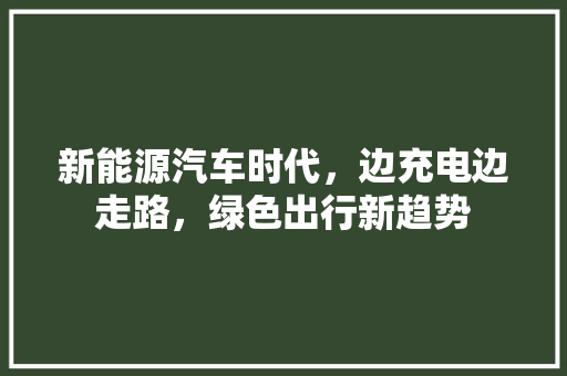 新能源汽车时代，边充电边走路，绿色出行新趋势  第1张