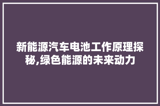 新能源汽车电池工作原理探秘,绿色能源的未来动力  第1张