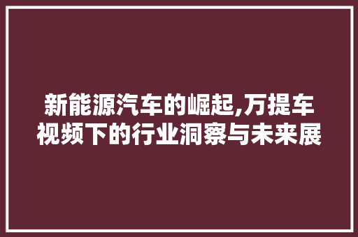 新能源汽车的崛起,万提车视频下的行业洞察与未来展望  第1张