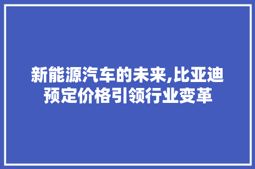 新能源汽车的未来,比亚迪预定价格引领行业变革  第1张