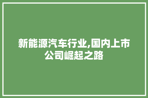 新能源汽车行业,国内上市公司崛起之路  第1张