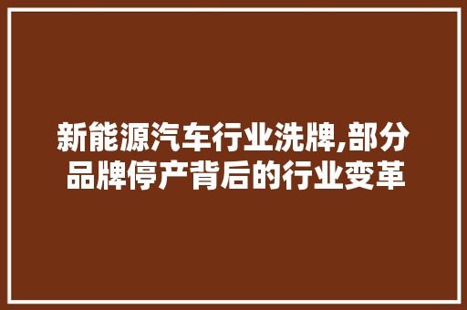 新能源汽车行业洗牌,部分品牌停产背后的行业变革