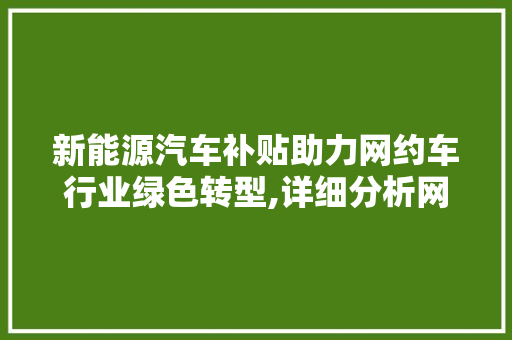 新能源汽车补贴助力网约车行业绿色转型,详细分析网约车新能源补贴政策及影响  第1张