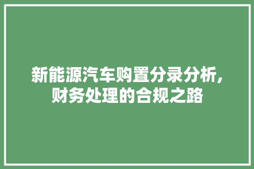 新能源汽车购置分录分析,财务处理的合规之路