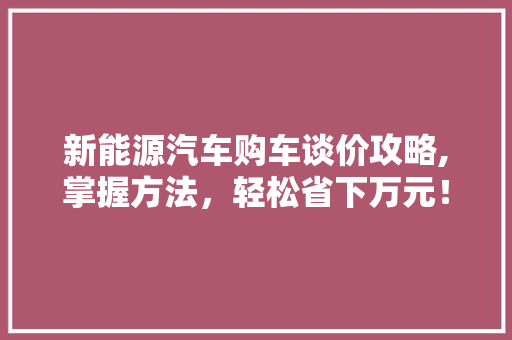 新能源汽车购车谈价攻略,掌握方法，轻松省下万元！