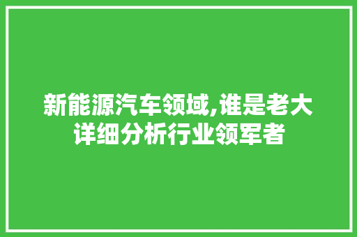 新能源汽车领域,谁是老大详细分析行业领军者  第1张