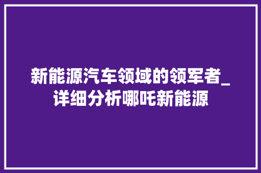 新能源汽车领域的领军者_详细分析哪吒新能源  第1张