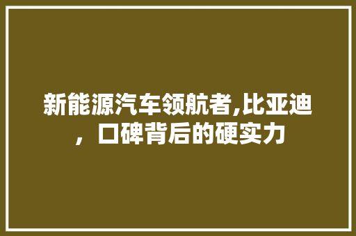 新能源汽车领航者,比亚迪，口碑背后的硬实力  第1张