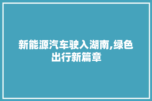 新能源汽车驶入湖南,绿色出行新篇章  第1张