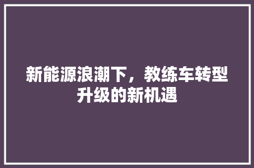 新能源浪潮下，教练车转型升级的新机遇